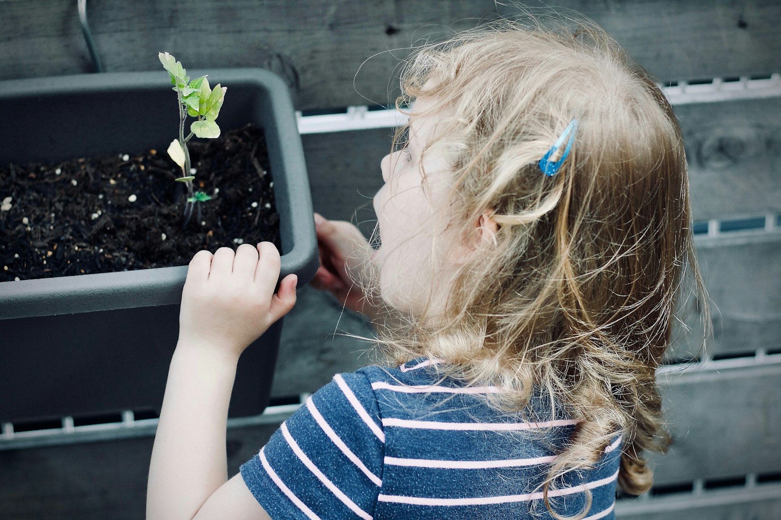 A child holding a plastic pot with a growing plant